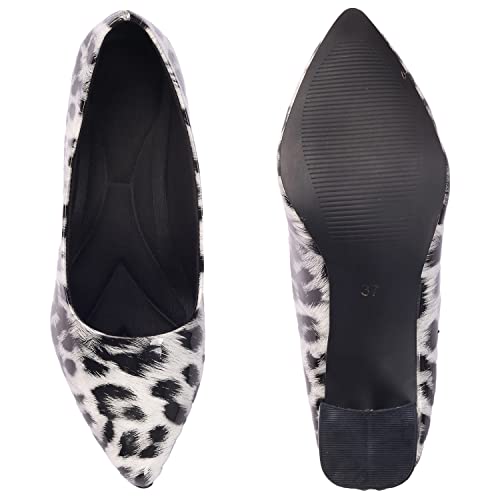 Image of Ladies Hub Women's Stylish Pump Block Heels and Pointed Toe Ballerina Shoes for Party and Formal Occasions