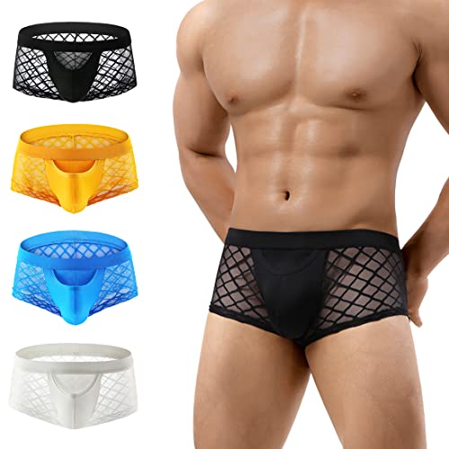 Casey Kevin Men's Sheer Lace Trunk Underwear 4 Pack Sexy Low Rise Mesh Boxer Briefs with Open Fly Pouch