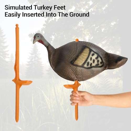 FUNHORUN Turkey Decoy for Hunting 4 Pack, Collapsible Lightweight Hunting Decoy with Stakes, Jake & Hen, Soft EVA Material - Thumbnail 5