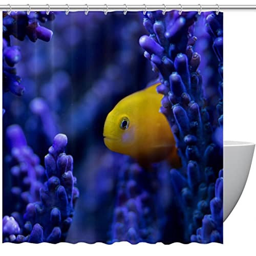Rideau de douche violet anti-moisissure à crochets motif poisson - 2