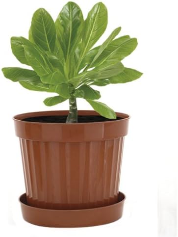 Plastic Decorative Pots #11 Terracota