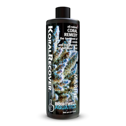 Image of Brightwell Aquatics Koral Recover - Botanical Coral Remedy for SPS, LPS & Soft Corals - Supports Tissue Healing, Disease Recovery & Immune Health - Safe for Reef Aquariums, 500 ml