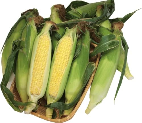 Amazon とうもろこし 嶽きみ 青森県小田桐農園の 嶽きみ 10本 約4kg 秀l 2lサイズ とうもろこし とうもろこし 通販 Amazon とうもろこし 嶽きみ 青森県小田桐農園の 嶽きみ 10本 約4kg 秀l 2lサイズ とうもろこし とうもろこし 通販