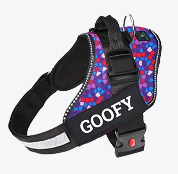 IndiHopShop Customized Dog Harness | Personalized Dog Harness with Dog Name | No Pull | Purple Passion Color (L) (B0C5N53RZX) Amazon Price History, Amazon Price Tracker