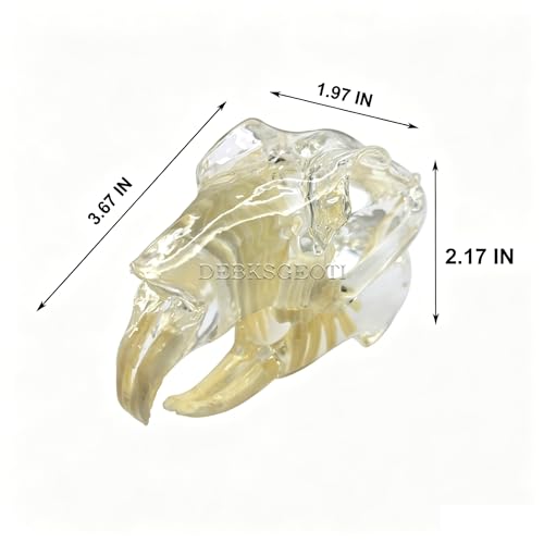 Image of Dental Rabbit Typodont Teeth Model Skull Oral Clear Pet Clinic Anatomical Tooth Jaw for Canine Veterinary Office Education Decoration Demonstrate (Rabbit Teeth Model)