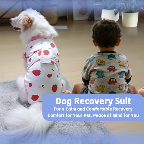 Image of PET Glam Recovery Suit for Dogs Cats, After Surgery, Alternative E-Collar Dog CAT. PET Shirt Breathable Abdominal Wounds, Neuter Cotton, Prevent Licking Onesie Surgical (RED, L)
