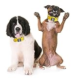 TSPRO Taktisches Hundehalsband, Robustes Halsband für Hunde mit Metallschnallenverschluss, 3,8 cm Breit, Verstellbar und Dick für Mittel bis Großgroße Hunde (Gelb M)