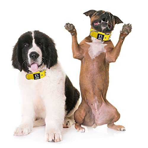 TSPRO Taktisches Hundehalsband, Robustes Halsband für Hunde mit Metallschnallenverschluss, 3,8 cm Breit, Verstellbar und Dick für Mittel bis Großgroße Hunde (Gelb M)