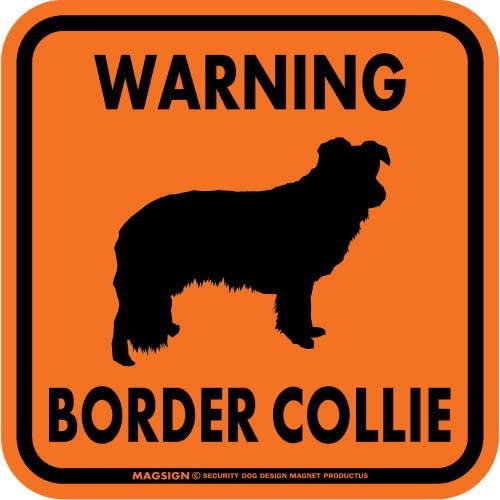 [MAGSIGN] �� �{�[�_�[�R���[ ���� �p�� �}�O�l�b�g SS�T�C�Y �I�����W�F �����` WARNING BORDER COLLIE �� ���O�p(�h��/�ϐ��E�ό��d�l) ���{��
