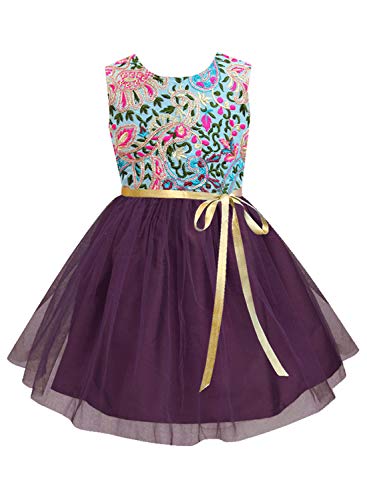Image of A.T.U.N. (ALL THINGS UBER NICE) Girls Embroidered Sleeveless Knee Length Dress for Party and Special Occasions