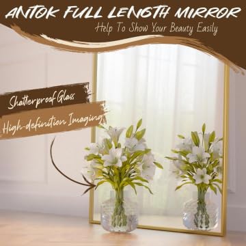 Image of Antok 58 inch x21 inch Arched Full Length Mirror with Stand, Floor Mirror, Gold
