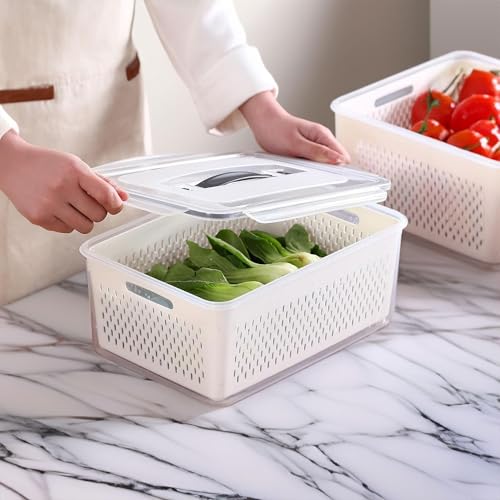 Image of The Better Home (Pack of 4 Food Containers | Storage Box for Fridge | Vegetable Fruit Boxes | Refrigerator Storage Box | Containers With Lid | Handheld Strainer Basket| Transparent