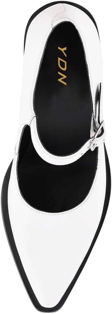 YDN Women's Chunky Block Heeled Mary Janes Sexy Pointy Toe Pumps with Buckle Strap Mid High Heels Formal Daily Business Dressy Shoes Size 4-16 US