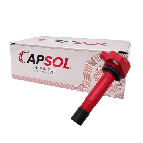 CAPSOL XebvS Xp[_ RK5 COjbVRC RP nCp[ 1{ 30520-RNA-A01