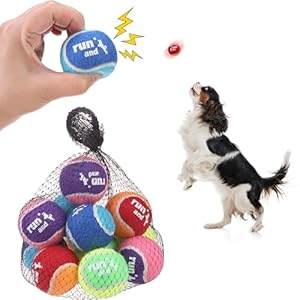SCENEREAL Squeaky Tennis Balls for Dogs, 2″ Training Bouncy Ball Toys for Small Medium Dogs Puppies, 12 Pack Interactive Dog Toys for Throwing and Fetching