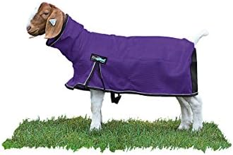 Weaver Leather Livestock ProCool Ziegendecke mit reflektierenden Paspeln, Violett, Größe M