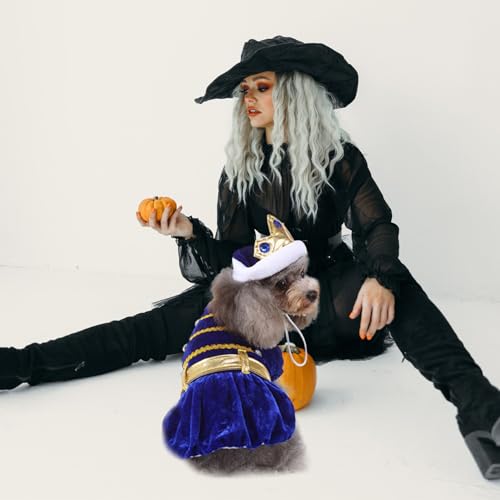 Disfraz para perro Beaupretty Halloween con sombrero miniatura 5