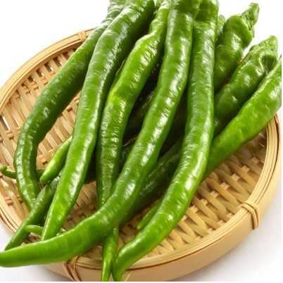 100 Seeds Fushimi Sweet Long Japanese Sweet Pepper Seeds; 伏見甘長唐辛子 ふしみあまなが
