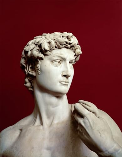 Pintura del David de Miguel Ángel en lienzo moderno de 60x90cm para tu salón
