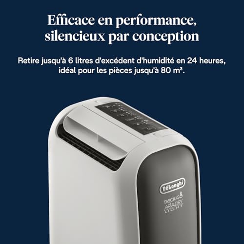 De’Longhi Tasciugo AriaDry Light - Déshumidificateur Portable pour la Maison, Zéolite et Ioniseur, Élimination Humidité 6L/24h, Séchage, Anti-Moisissure, Silencieux, Mode Swing, Minuteur, Gris (DNS65)