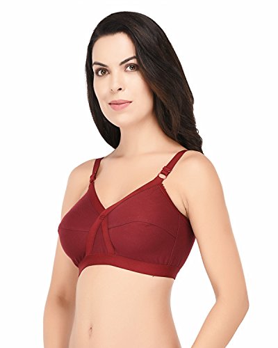 Image of Elina Women's Full Coverage Horsery D-Cup Bra.(Set of 1)