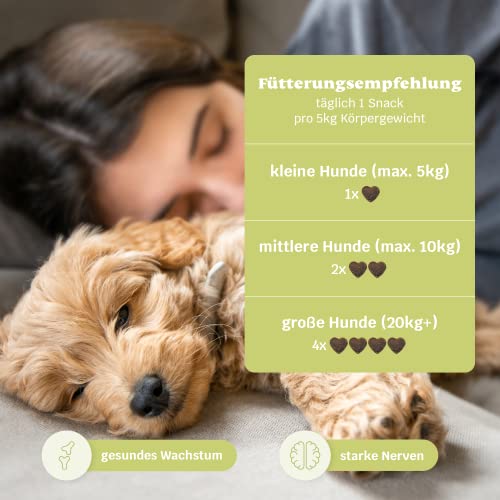 mammaly 13 in 1 Welpen Leckerlies für Hunde (650g) Puppy Power mit Präbiotika, Grünlippmuschel und Vitamin E - Gesundes Wachstum und Nervenfunktionen - Unterstützt Training