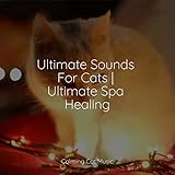 Calming Cat Music