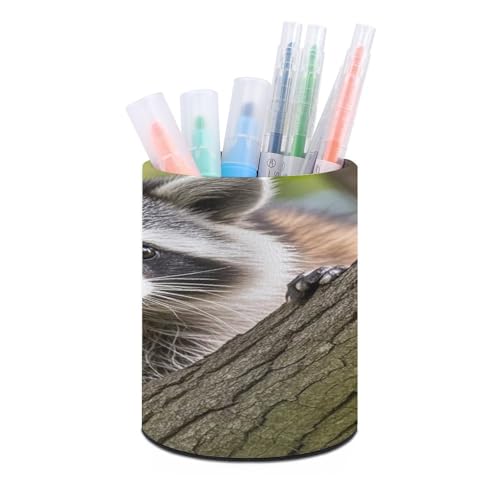 Pot à crayons rond raton laveur en céramique pour bureau