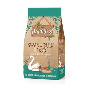 Brambles Floating Swan and Duck Foo...
