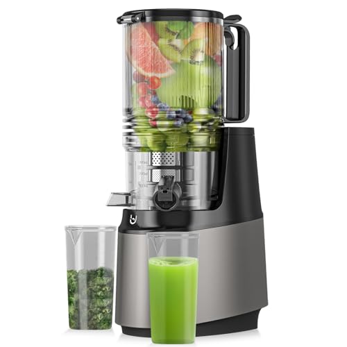 Oyeree Cold Press Juicer Machines cover