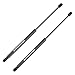 Liftgate Struts for 2002-2006 Cadillac Escalade, 2002-2004 Chevy Suburban, 2001-2004 Chevy Tahoe GMC Yukon Lift Gate Shocks Tailgate Lift Supports Rear Door Hatch Gas Charged Springs 2Pcs ATLS1803