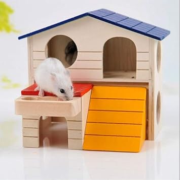 hamster pet house