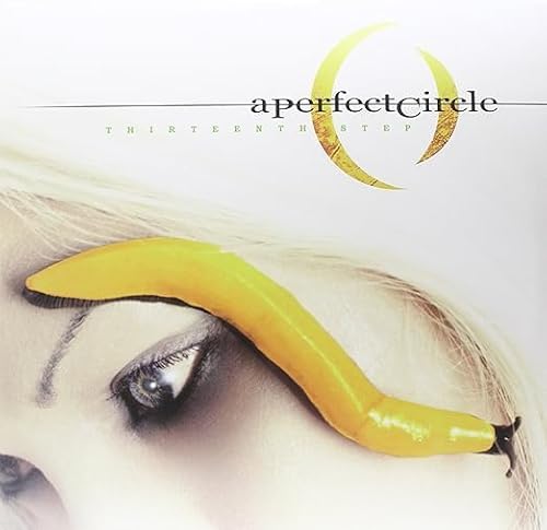 Perfect Circle - Thirteenth Step