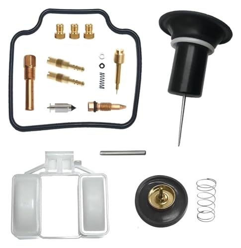 Remplacement pièces carburateur Big Ruckus PS250 pour réguler le ralenti