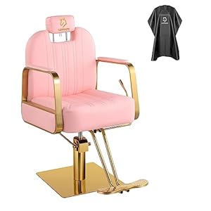 Barber Chair Salon Chair Reclining Hydraulic Hairdresser Styling Chair Hair Chair All Purpose Beauty Spa Salon Equipment, Max Load Weight 440 Lbs – Pink