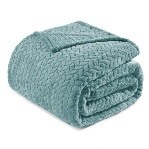 Image of Exclusivo Mezcla Soft Fleece Bed Blanket Queen Size, 90 inchx90 inch, Celadon