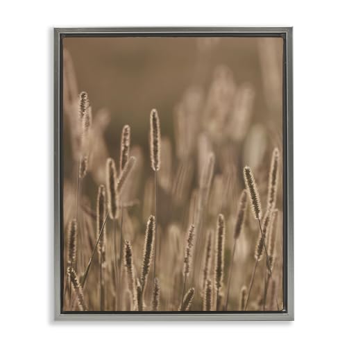 Stupell Industries 'Rural Wheat Field Nature'| Floating Frame Canvas Art