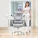 COLAMY Ergonomic Mesh Office Chair, High Back Desk Chair with Footrest, Adjustable Headrest and 3D Arms, Fixed Tilt Lock, Lumbar Support, Breathable Mesh Computer Chair for Home Office,Grey