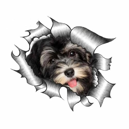 Havaneser Hund Aufkleber, 3D Zerrissener Metall-Effekt, Reflektierend, Wasserfest, Lustiger Havanese Aufkleber für Laptop, Auto, Kühlschrank (15cm/5.9 Inch)