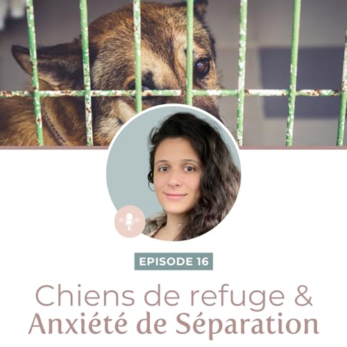 Episode 16 - Chiens de refuge et anxi&eacute;t&eacute; de s&eacute;paration : enjeux, bien-&ecirc;tre et adoption