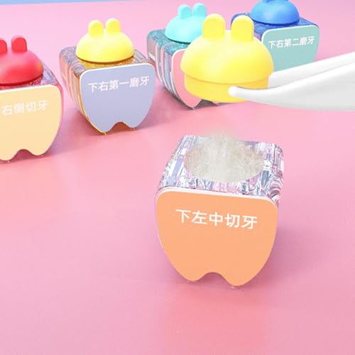 Boîte à dents de bébé en forme de lapin avec étiquettes - 7