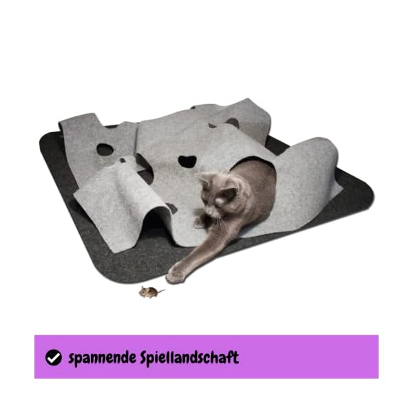 CatMountain® Katzenteppich Katzenspielzeug interaktives Katzenspielzeug Kitten Spielzeug für Deine Katze. – Bild 3