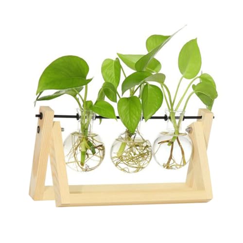 NOLITOY k͔|ΉNAKXԕr ؐX^h ]z_[t ȍ̊ώ@pv^[z_[ CeA