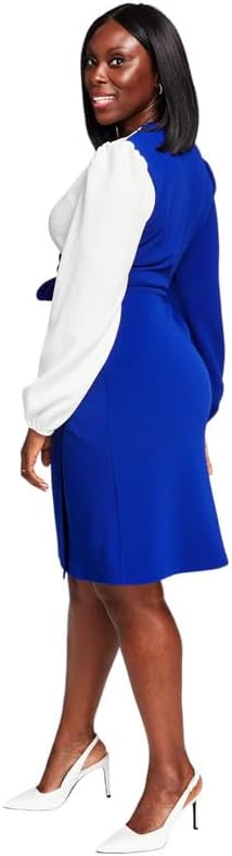 Kasper Women's Colorblocked Surplice Side-Tie Dress (White/Royal Blue, XX-Large)