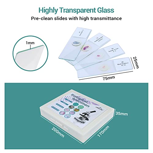 Image of 100Pcs Prepared Microscope Slides with Specimens for Kids Science Learning | Optical Glass Slides with Insect Plant Animal Human Tissue Sample, Students Homeschool Lab Classroom Education