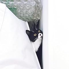 ������ / ���]�z