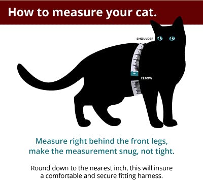 The Outbound Escape Proof Cat Harness In Warm Brown | Luxury | Leather | Handmade #TOP7