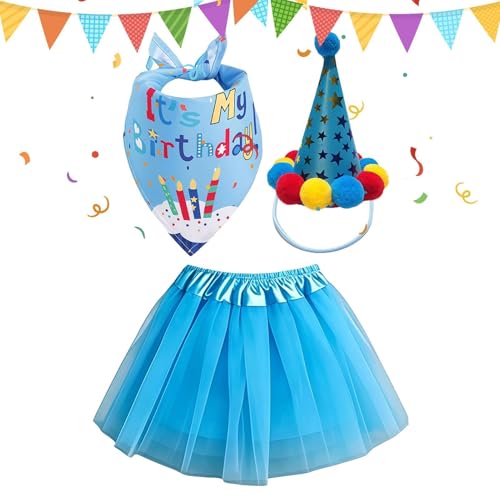 Disfraz de ganso graduación y festivales un regalo original para el escritorio