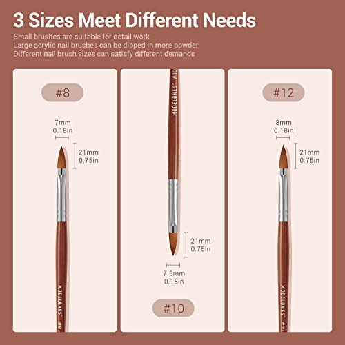 Modelones 2AUS-MOAS-00319 3Pcs Acrylic Nail Brush Set, Size 8/10/12 Kolinsky Acrylic Brushes thumb #4