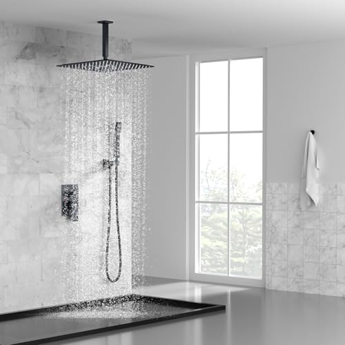 Image of SR SUN RISE 16 Inch Ceiling Mount Rain Shower System,Matte Black